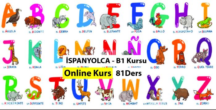 İspanyolca B1 Kursu